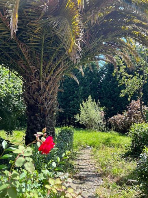 La Casona De La Carbayeda Villa Oviedo Dış mekan fotoğraf